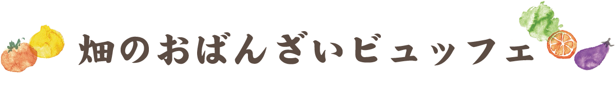 畑のおばんざいビュッフェ